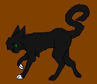 Tigerstar-1.jpg picture by Forgivensinner12