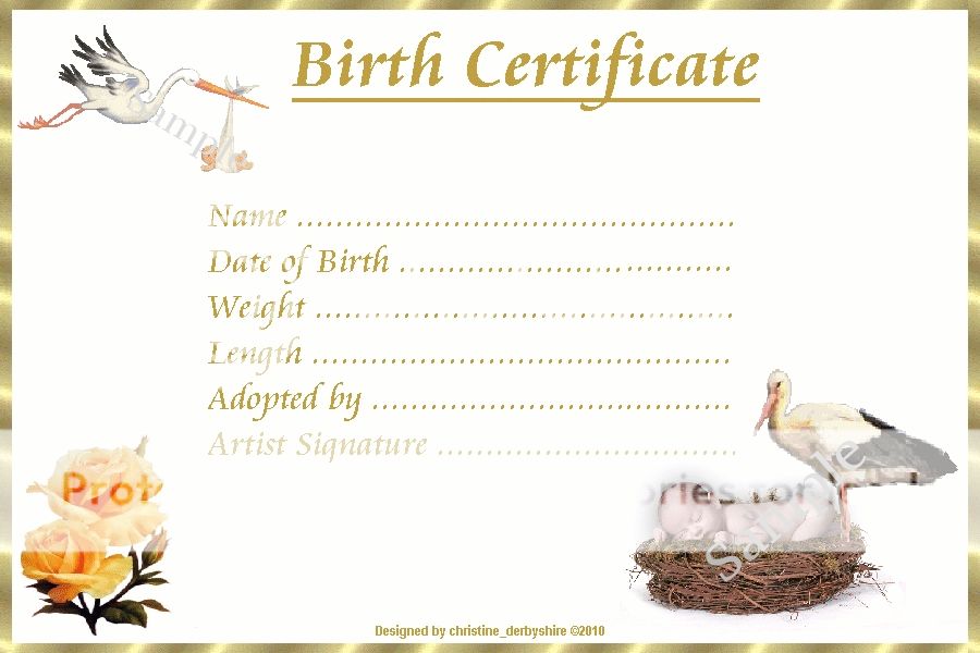 STORK & NEST BIRTH CERTIFICATE/CERTIFICATES 4 REBORN FAKE BABY approx 7 ...