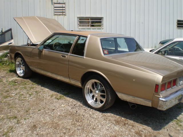 80' Caprice - Chevy Impala SS Forum