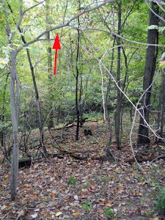 Chief Little Soldier's bigfoot sighting location