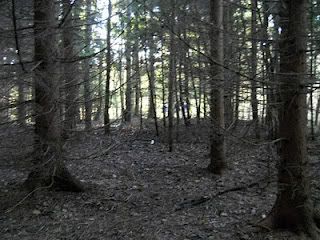 Squatchmaster video location