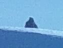 Silver Star Photo 1