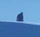 Silver Star Photo 2