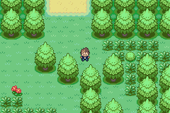 [PokeCommunity.com] Team Ever Green